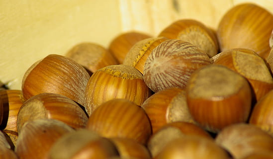 kacang hazel, buah kering, jatuh, hazel, makanan dan minuman, makanan, kesegaran, makan sehat, kesejahteraan, sekelompok besar objek, masih hidup, merapatkan, dalam ruangan, fokus selektif, tidak ada orang, kelimpahan, coklat, kacang - makanan, meja, sekelompok objek, kacang, dipanggang, kelompok, bentuk, camilan, makanan Perancis, 4K, CC0, domain publik, bebas royalti