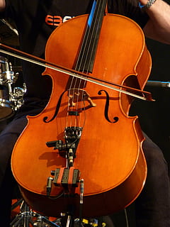 person, spelar, stränginstrument, cello, strängar, instrument, båge, musik, musik instrument, musikalisk utrustning, sträng, konstkultur och underhållning, musikinstrumentsträng, inomhus, fiol, närbild, inget folk, trämaterial, båge - musikalisk utrustning, brun, fortfarande liv, fokusera på förgrunden, klassisk musik, skicklighet, gitarr, 4K, CC0, offentligt domän, royaltyfria