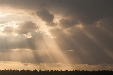 nero di seppia, fotografia, Dio, raggio, nubi stratocumulo, fotografia di paesaggio, nuvole, alberi, raggio di sole, Cloudscape, cielo, nube, Sunray, nuvola - cielo, bellezza nella natura, luce del sole, scenics - natura, ambiente, cielo drammatico, tramonto, natura, nessuno, la tranquillità, idilliaco, paesaggio, albero, Paradiso, sole, tempesta, all'aperto, luminosa, 2K, CC0, dominio pubblico, privo di copyright