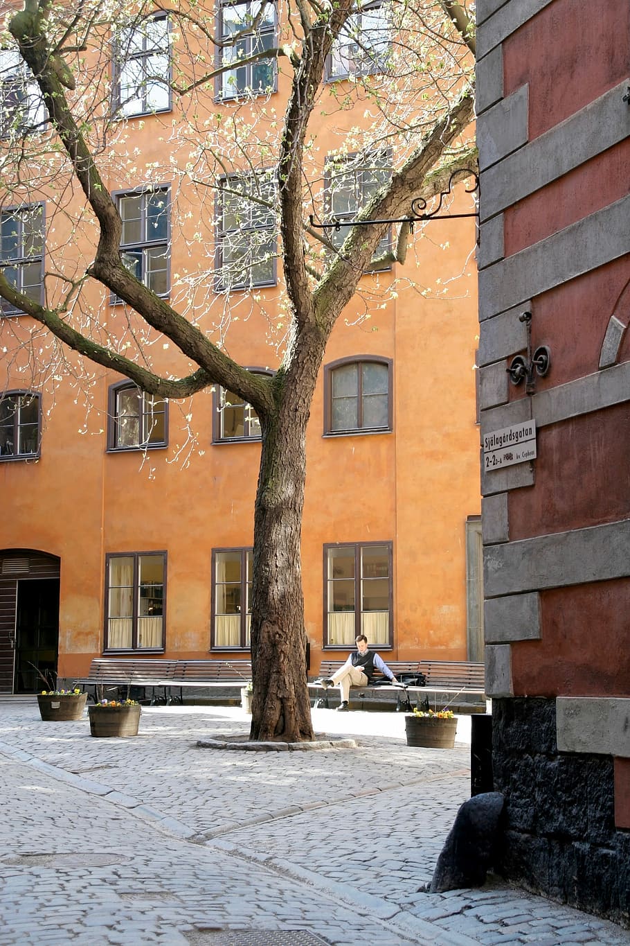 façana, finestra, perspectiva, en viu, estat real, arquitectura, edifici, arbre, pati, exterior de l'edifici, ciutat, estructura construïda, a l'aire lliure, carrer, planta, naturalesa, barri residencial, dia, cap gent, tronc de l'arbre, tronc, sendera, branca, arbre nu, paret, 2K