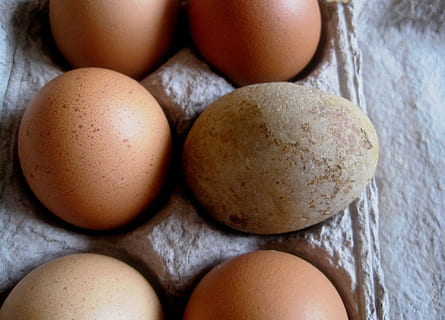 æg, boks, dusin, mad, halvt dusin, kylling, morgenmad, frisk, karton, pap, ingrediens, rå, naturlig, produkt, skal, mad og drikke, sund kost, æggekarton, rå fødevarer, friskhed, velvære, Brun, tæt på, sårbarhed, ingen mennesker, skrøbelighed, indendørs, gruppe af objekter, stilleben, medium gruppe af objekter, dyreæg, i en række, høj vinkel visning, bakke, 1080P, CC0, offentligt domæne, royaltyfrie