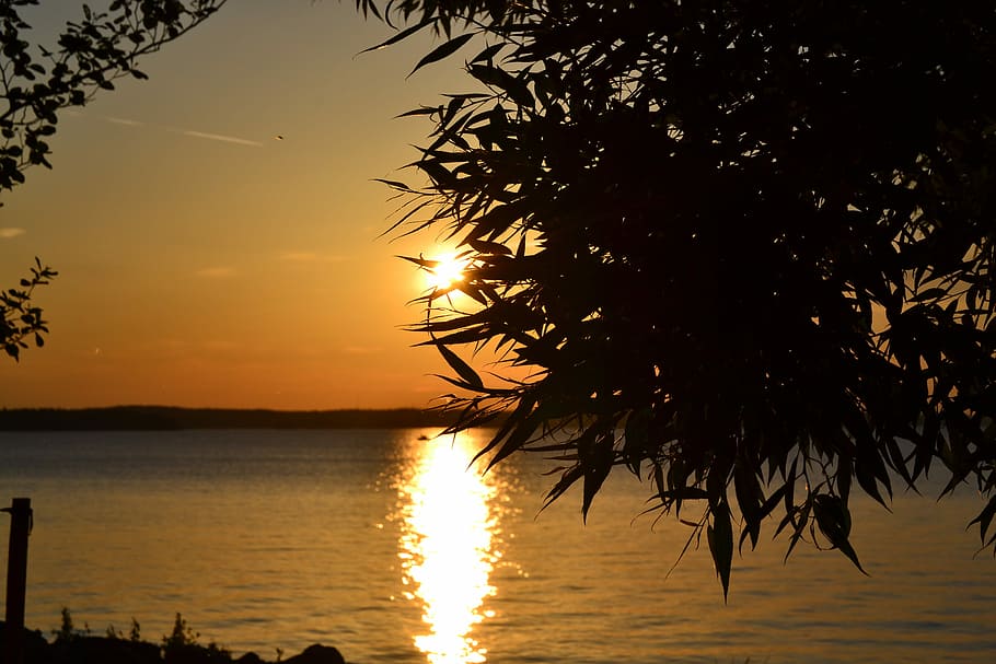 strand, meer, zonsondergang, water, zomer, midzomer, landschap, eiland, boom, reflectie, silhouet, Vakantiebestemmingen, hemel, schoonheid in de natuur, scenics - natuur, kalmte, rustige scène, fabriek, Oranje kleur, zon, natuur, idyllisch, zonlicht, geen mensen, buitenshuis, 4K