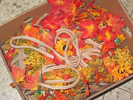 herbstdeko, decoració, artificial, botiga, temporada, tardor, natura morta, decoració de tardor, deco, fulla de tardor, colorit, acció de gràcies, bucle, recollir, decoratiu, cartró, taronja, color, flor de sol, corda, embalat, naturalesa, fulles d'auró, fulles, groc, fullatge de tardor, fulles de tardor, finestra, decorar, color taronja, vista d’angle alt, multicolor, cap gent, flor, patró, planta amb flors, primer pla, canvi, planta, art i artesania, dia, a l'interior, part de la planta, full, bellesa a la natura, motiu floral, creativitat, 1080P, CC0, domini públic, lliure de regalies