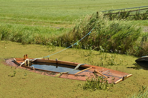 barca, affondato, naufragio, naufragio della nave, nave, perdita, acqua, Kroos, campo, erba, agricoltura, paesaggio, giorno, pianta, colore verde, natura, terra, crescita, nessuno, la tranquillità, luce del sole, vista dall'alto, all'aperto, legno - materiale, nave nautica, bellezza nella natura, modo di trasporto, scena tranquilla, barca a remi, 4K, CC0, dominio pubblico, privo di copyright