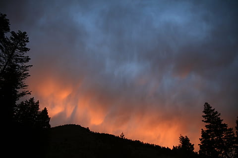 foto siluet, pohon, gunung, dataran tinggi, gelap, awan, langit, puncak, punggung bukit, pemandangan, alam, lembah, tanaman, bayangan hitam, hutan, malam, di luar rumah, keindahan di alam, awan - langit, scenics - alam, adegan yang tenang, matahari terbenam, ketenangan, menanam, tidak ada orang, warna oranye, adegan non-urban, idilis, lingkungan Hidup, langit yang dramatis, tampilan sudut rendah, kekuatan di alam, 8K, CC0, domain publik, bebas royalti