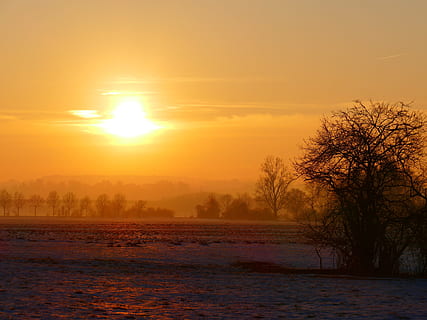 brown, bare, tree, front, sunset, wintry, trees, back light, winter, snow, cold, snowy, nature, abendstimmung, sun, afterglow, golden, light, landscape, snow cover, mood, winter mood, sunlight, tranquil scene, scenics, tranquility, beauty in nature, sky, scenics - nature, orange color, plant, no people, idyllic, land, cold temperature, non-urban scene, silhouette, environment, outdoors, 4K, CC0, public domain, royalty free
