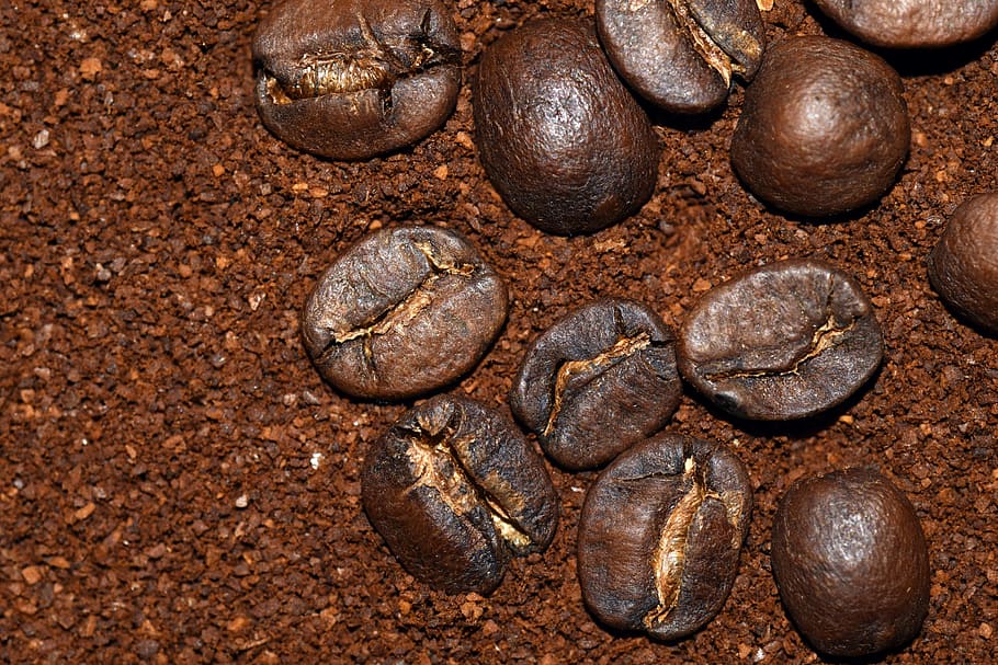 cafè, cafeteria, mongetes, beure, beneficis, benefici de, grans de cafè, patró, farina de cafè, estilitzat, decoratiu, tancar, fons, aroma, símbol, marró, mongeta, torrat, fragància, cafeïna, cafè - beguda, espresso, gra de cafè, primer pla, cultiu de cafè, mocha, fosc, color negre, cappuccino, perfumat, fòssil, cap gent, antic, naturalesa, menjar, menjar i beguda, marc complet, frescor, gra de cafè torrat, natura morta, vista d’angle alt, gran grup d'objectes, directament a sobre, a l'interior, textura, dia, brutícia, 5K