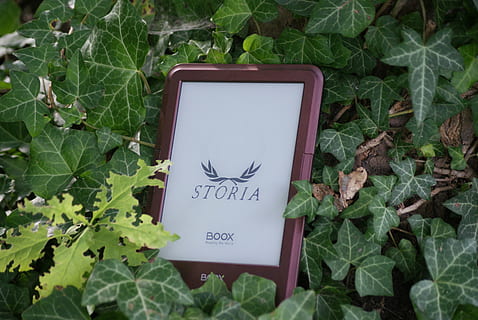 e-reader, e-book, ebook, e-ink, e-paper, tablet pc, communication, leaf, plant part, text, green color, technology, wireless technology, connection, western script, plant, nature, growth, no people, outdoors, close-up, day, high angle view, mobile phone, screen, portable information device, message, 4K, CC0, public domain, royalty free