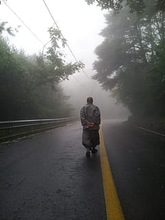 pooping, speculating, topic, curious, performer, monk, fog, transportation, tree, rear view, plant, road, direction, the way forward, full length, walking, men, real people, nature, people, day, road marking, lifestyles, marking, outdoors, diminishing perspective, 2K, CC0, public domain, royalty free