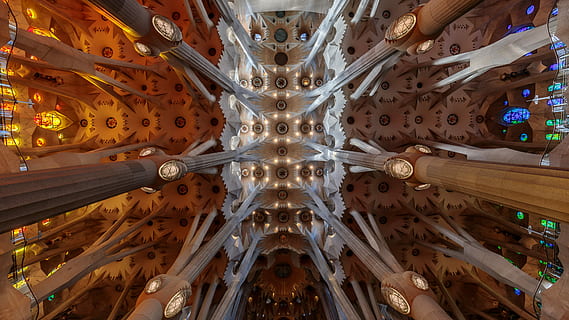 baix, foto d'angle, edifici, interior, columnes, pilars, llums, arquitectura, referència, gòtic, espanya, barcelona, sagrada familium, patró, vista d’angle baix, sostre, a l'interior, cap gent, estructura construïda, marc complet, directament a sota, disseny, forma, fons, dia, art i artesania, lloc de culte, creativitat, religió, espiritualitat, forma geomètrica, simetria, ornamentat, arquitectura i art, 4K, CC0, domini públic, lliure de regalies