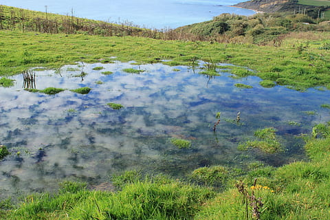 riflessione, nuvole, Dorset, costa, natura, piscina, giurassico, pianta, acqua, erba, la tranquillità, bellezza nella natura, scenics - natura, scena tranquilla, crescita, lago, giorno, colore verde, terra, albero, campo, scena non urbana, paesaggio, nessuno, all'aperto, potere in natura, palude, 5K, CC0, dominio pubblico, privo di copyright