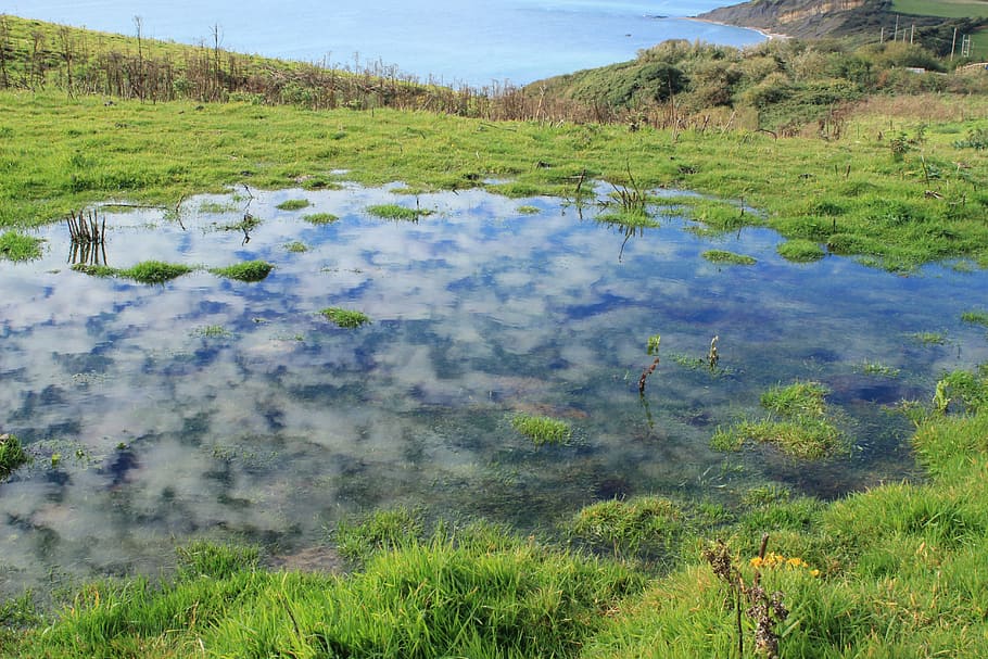 reflexió, núvols, dorset, Costa, naturalesa, piscina, juràssic, planta, aigua, herba, tranquil·litat, bellesa a la natura, escenics - natura, escena tranquil·la, creixement, llac, dia, color verd, terra, arbre, camp, escena no urbana, paisatge, cap gent, a l'aire lliure, poder a la natura, pantà, 5K