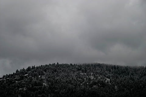 Foto, Berg, bedeckt, Bäume, Waldberg, Weiß, Wolken, Baum, wolkig, Himmel, Hügel, Wald, Tanne, Natur, Sturm, wolke - himmel, Wetter, Regen, Wolkengebilde, dunkel, keine Leute, szenen, Gewitter, Landschaft, draußen, Ruhe, Feld, Wachstum, Pflanze, Umgebung, Schönheit in der Natur, Land, Szenen - Natur, Sturmwolke, Tag, Nebel, Kiefernwald, Kiefer, bedrohlich, Nadelbaum, sintflutartiger Regen, immergrüner Baum, 2K, CC0, gemeinfrei, lizenzfrei