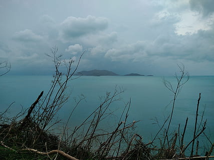 orage, des nuages, catastrophe, ouragan, mer, océan, bleu, île, pluie, herbe, feuilles, des arbres, ciel, sombre, eau, branches, tranquillité, nuage - ciel, scène tranquille, beauté dans la nature, paysages - nature, plante, la nature, personne, Lac, journée, scène non urbaine, terre, plage, arbre, en plein air, 4K, CC0, domaine public, libre de droits