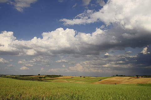 paisatge, núvols, camp, cel, naturalesa, blau, fons de núvols, escènic, a l'aire lliure, turons, camps, prada, núvol - cel, medi ambient, terra, escenics - natura, bellesa a la natura, agricultura, escena tranquil·la, escena rural, tranquil·litat, planta, creixement, cultiu, dia, granja, cap gent, horitzó sobre la terra, plantació, 2K, CC0, domini públic, lliure de regalies