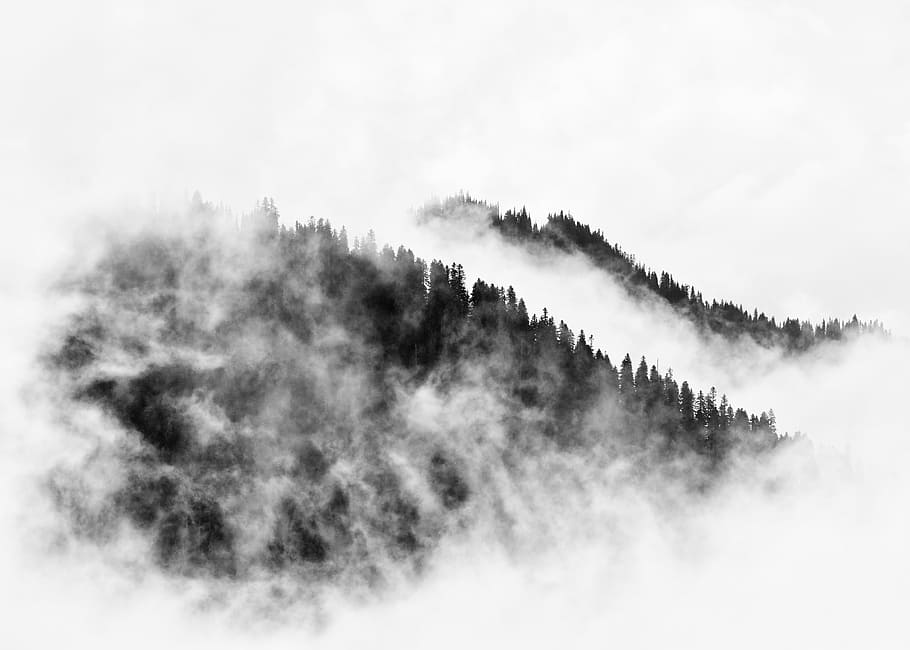 antenne, udsigt, tåge, dækket, bjergkæder, bjerg, træ, Sky, himmel, sort og hvid, silhuet, natur, udendørs, Skov, PNW, Stillehavet nordvest, washington, mt. regnere nationalpark, kontrast, landskab, cloudscape, scenics - natur, skønhed i naturen, miljø, rolig scene, jord, ro, ingen mennesker, plante, sky - himmel, ikke-urbane scene, nåletræ, smog, 4K