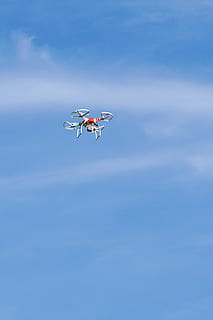 Drohne, dji, Phantom, Quadcopter, Hubschrauber, Feld, Landwirtschaft, Kitz, Suche, fliegen, dom, Spielzeuge, Spaß, Höhe, Flug, Luft, in dem, Mais, Weizen, Wolken, Dämmerung, Actioncam, Action-Kamera, Foto, Fotografie, Video, Propeller, Drohnen, basteln, Bastler, Freizeit, Hobby, Modell-, Modellflugzeug, Modell Spielzeug, Innovation, Trend, fliegend, Himmel, in der Luft, Flachwinkelansicht, Blau, Fotografie-Themen, Medienausstattung, Transport, Kamera - Fotoausrüstung, keine Leute, Natur, Technologie, Transportmittel, Tag, Überwachung, draußen, Bewegung, klarer Himmel, Luftfahrzeug, 2K, CC0, gemeinfrei, lizenzfrei