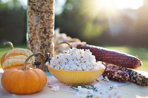 popcorn, žlutá, miska, podzim, kukuřice, sklizeň, dýně, sezónní, jídlo a pití, jídlo, svěžest, Zdravé stravování, den, zaměřit se na popředí, blahobyt, zeleniny, odlesk objektivu, slunečního světla, Příroda, nikdo, stůl, ovoce, detail, venku, rostlina, 5K, CC0, veřejná doména, bez autorských práv