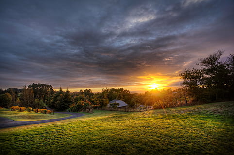 white, brown, house, surrounded, trees, green, field, golden, hour, sunset, dusk, clouds, cloudy, grey, dark, storm, grass, nature, landscape, rural, countryside, cloud - sky, sky, beauty in nature, scenics, outdoors, tree, no people, plant, environment, tranquility, scenics - nature, land, tranquil scene, sun, green color, non-urban scene, sunlight, 4K