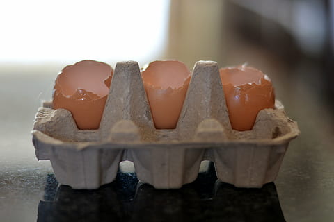 contenants à oeufs, conteneurs vides, des œufs, aliments, Nourriture et boisson, à l'intérieur, fermer, personne, fraîcheur, mise au point sélective, Oeuf, table, indulgence, Chocolat, bien-être, choix, grand groupe d'objets, nature morte, aliments sucrés, se concentrer sur le premier plan, variation, carton d'oeufs, sucré, tentation, luxe, 5K, CC0, domaine public, libre de droits