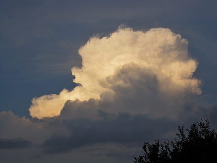 pilvinen, pörröinen, valkoinen, pimeys, valkoinen, pimeys, iltaisin, silhoutte, Puut, oksat, luonto, ulkona, korkea, ilma, ilmapiiri, cloudscape, sää, taivas, pilvi - taivas, sininen, scenics, taustat, ilmasto, kauneus luonnossa, ei ihmisiä, tyyneys, maisemat - luonto, puu, myrskypilvi, myrsky, idyllinen, dramaattinen taivas, rauhallinen kohtaus, kopiointitila, ympäristö, meteorologia, pehmeys, 2K, CC0, public domain, rojaltivapaa