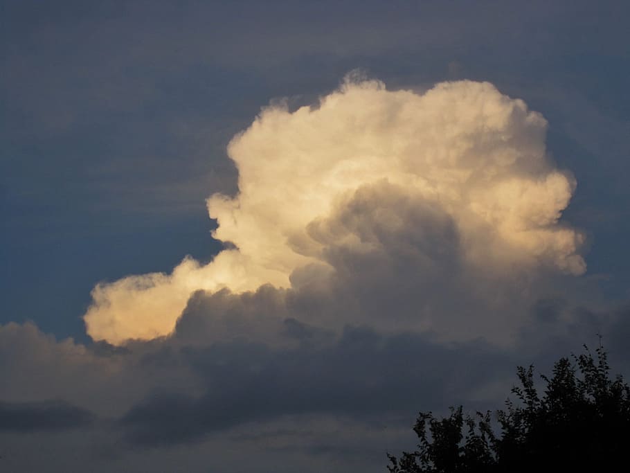 ennuvolat, esponjós, blanc, foscor, blanc, foscor, vetllades, silhoutte, arbres, branques, naturalesa, a l'aire lliure, alt, aire, atmosfera, cloudscape, temps, cel, núvol - cel, blau, núvol, escenics, fons, clima, bellesa a la natura, cap gent, tranquil·litat, escenics - natura, arbre, núvol de tempesta, tempesta, idíl·lic, cel dramàtic, escena tranquil·la, còpia espai, medi ambient, meteorologia, suavitat, 2K