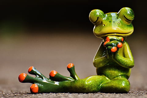 shallow, photography, ceramic, praying, frog, sitting, gray, concrete, flooring, pray, harmony, figure, decoration, funny, cute, frogs, no people, green color, studio shot, one animal, close-up, animal themes, representation, animal representation, food, still life, food and drink, pepper, focus on foreground, indoors, vegetable, healthy eating, table, freshness, wellbeing, figurine, animal, creativity, black background, 5K, CC0, public domain, royalty free