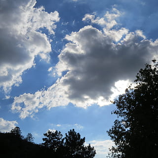 nuvens, Sombrio, chuva, tempestade, céu, natureza, clima, dramático, meteorologia, trovoada, agua, atmosfera, azul, ar, temperamental, panorama, poder, cloudscape, arvores, crepúsculo, majestoso, nuvem - céu, árvore, plantar, visão de baixo ângulo, beleza na natureza, tranquilidade, ninguém, dia, scenics - natureza, silhueta, ao ar livre, crescimento, cena tranquila, luz solar, idílico, cena não urbana, 2K, CC0, domínio público, royalty free