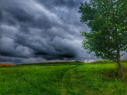 medis, debesys, dangus, kraštovaizdį, žalias, žolė, pobūdį, Lenkijoje, vasara, debesis - dangus, pievos, oras, lauke, audra, žalia spalva, „cloudscape“, scenos, kaimo scenoje, mėlyna, augalų, aplinką, grožis gamtoje, žemės, perkūnija, audros debesys, vaizdai - gamta, augimą, ramybė, dramatiškas dangus, nėra žmonių, lietus, tornadas, Ekstremalus oras, grėsmingas, galia gamtoje, 4K, CC0, Viešasis domenas, nemokamai