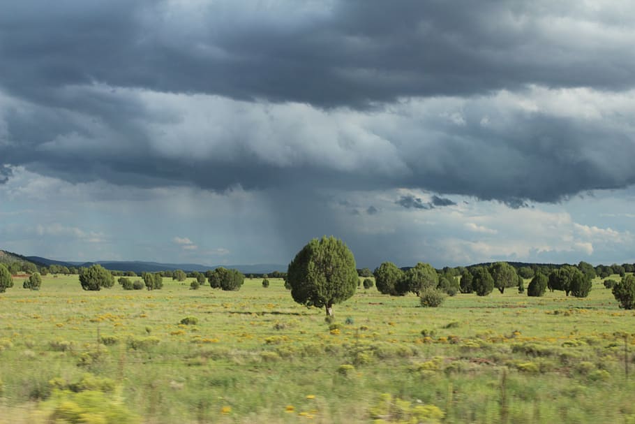 verde, alberi, grigio, nuvoloso, cieli, cielo scuro, nuvole, pioggia, natura, tempesta, drammatico, paesaggio, orizzonte, strada, vista, sulla strada, nuvola - cielo, ambiente, cielo, pianta, scenics - natura, terra, bellezza nella natura, campo, colore verde, scena tranquilla, nessuno, scena non urbana, la tranquillità, giorno, albero, crescita, all'aperto, 2K