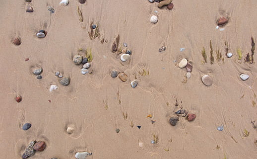 sand, sten, strand, mønster, natur, struktur, harmoni, rullesten, kysten, kyst, klippe, naturlig, overflade, mineral, hav, jord, høj vinkel visning, dag, vand, ingen mennesker, sollys, skal, Brun, solid, fuld ramme, ro, udendørs, stor gruppe af objekter, sten - objekt, våd, 4K, CC0, offentligt domæne, royaltyfrie