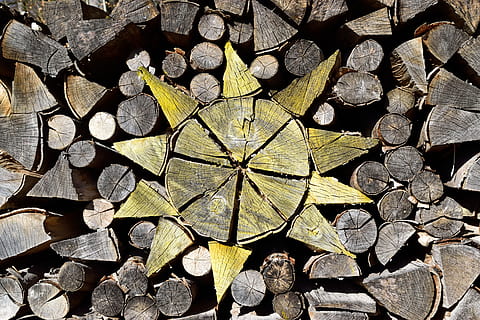 fons de pantalla, mostra, estructura, naturalesa, primer pla, resum, fusta, tallar, medi ambient, dia s, fons, natural, idea, bosc, material de fusta, marc complet, registre, cap gent, llenya, gran grup d'objectes, directament a sobre, patró, dia, forma, pila, disseny, llum solar, desforestació, vista d’angle alt, a l'aire lliure, 4K, CC0, domini públic, lliure de regalies