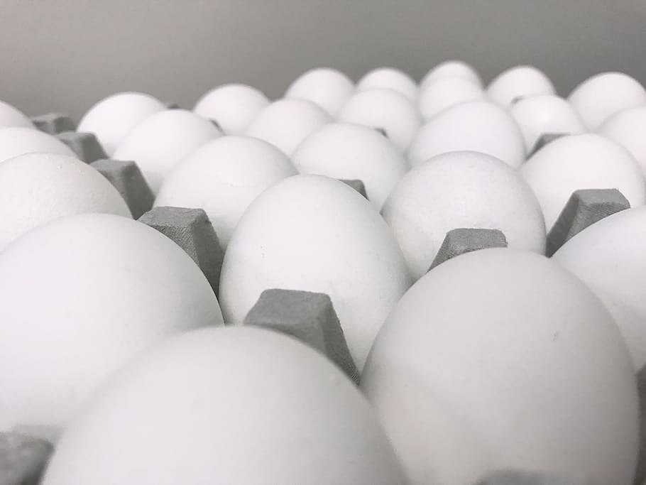 ous, macro, blanc, gris, Pasqua, pollastre, natural, esmorzar, festa, Color blanc, menjar i beguda, cap gent, marc complet, gran grup d'objectes, menjar, fons, primer pla, beure, a l'interior, ou, cartró d'ous, en fila, frescor, benestar, alimentació saludable, abundància, natura morta, arranjament, enfocament selectiu, ordre, Caixa de cartró, 4K