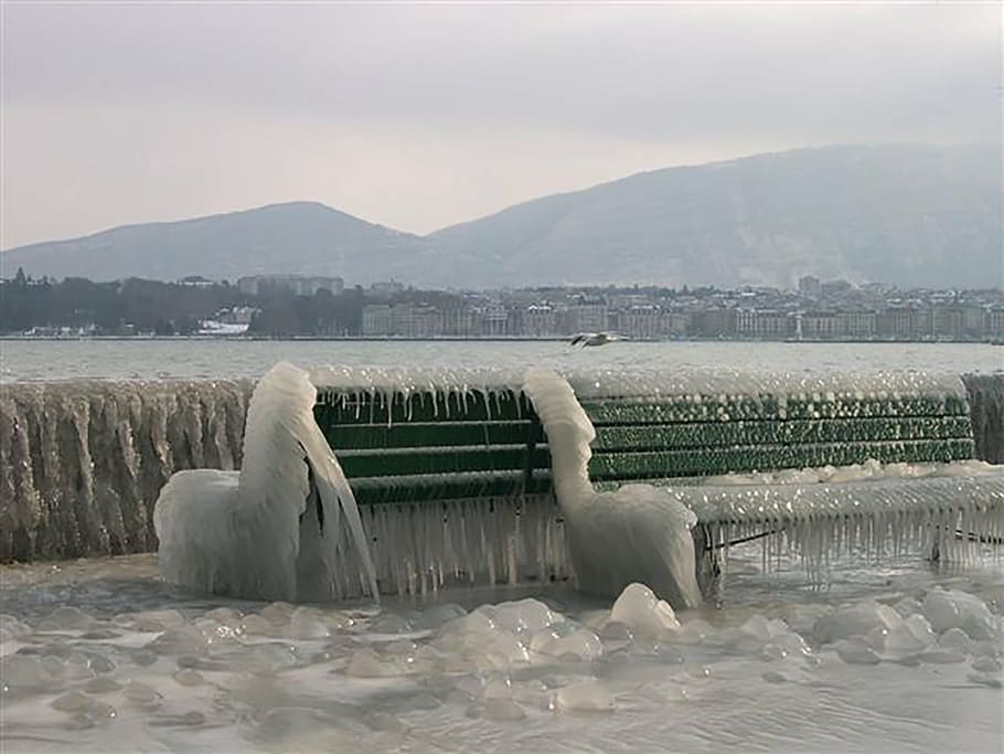 fred, neu, hivern, blanc, naturalesa, muntanya, paisatge d'hivern, paisatges, gel, esquiar, ze, branca, banc, alt, savoie, thonon, a l'aire lliure, reflexió, tranquil·litat, llac, cap gent, dia, escenics, aigua, boira, bellesa a la natura, cel, medi ambient, escenics - natura, escena tranquil·la, agricultura, ocell, animal, paisatge, terra, 1080P