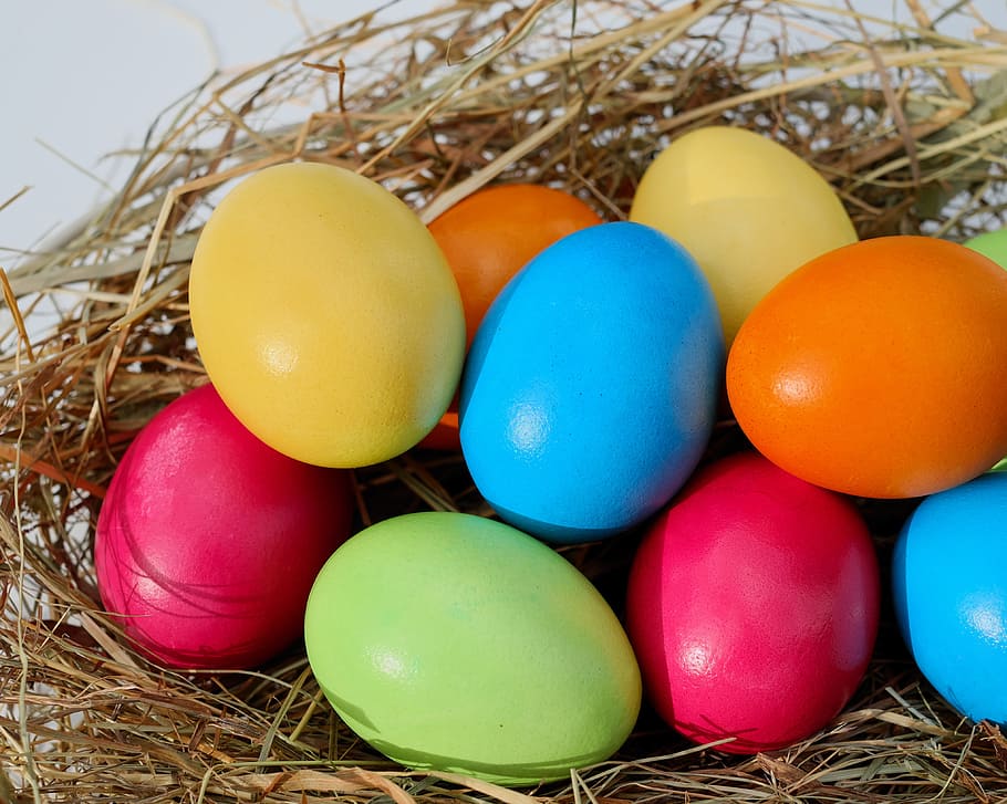 ous de pasqua de color variat, Pasqua, ou, ous de Pasqua, ous de colors, ous de pasqua tenyits, colorit, ous de pollastre, color, producte natural, menjar, niu de Pasqua, és clar, decoracions de pasqua, Feliç Pasqua, multicolor, ou de Pasqua, celebració, festa, menjar i beguda, cap gent, primer pla, vacances - esdeveniment, niu d’animals, religió, naturalesa, ous d’animals, natura morta, variació, decoració, 4K