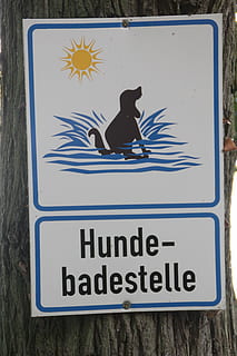 hond, badplaats, schild, Notitie, het merken, tekst, communicatie, westers schrift, teken, vertegenwoordiging, dag, geen mensen, menselijke representatie, detailopname, hoge hoekmening, buitenshuis, muur - bouwfunctie, natuur, informatie, creativiteit, muur, witte kleur, informatiebord, 5K, CC0, publiek domein, royaltyvrij
