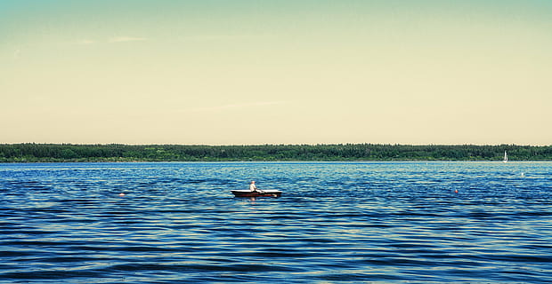 person rowing, boat, photo, brown, canoe, body, water, daytime, sea, ocean, blue, wave, nature, people, man, sailing, fishing, forest, trees, horizon, sky, outdoors, scenics, floating on water, beauty in nature, one animal, nautical vessel, lake, scenics - nature, tranquility, transportation, tranquil scene, leisure activity, swimming, travel, day, men, 4K
