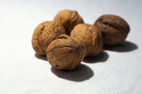 Walnuts, Shell, Hard, Nature, Nut, food and drink, food, nut - food, nutshell, studio shot, healthy eating, still life, freshness, wellbeing, close-up, no people, table, brown, walnut, fruit, indoors, group of objects, shadow, focus on foreground, white background, snack, 4K, CC0, public domain, royalty free