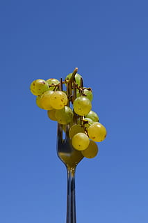 Traube, Gabel, Essen, schließen, Metallgabel, Besteck, Himmel, Blau, klarer Himmel, Frische, Natur, keine Leute, kopieren sie platz, Gelb, Flachwinkelansicht, Pflanze, Lebensmittel, Obst, Wachstum, gesundes Essen, Nahansicht, Blume, Schönheit in der Natur, Essen und Trinken, Wohlbefinden, Verletzlichkeit, Blütenkopf, 5K, CC0, gemeinfrei, lizenzfrei