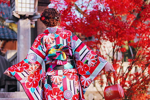 kvinde, iført, flerfarvede, kimono, bedrift, rød, læder taske, blad træ, dagtimerne, læder, håndtaske, rødt blad, træ, japan, japansk etnicitet, japansk kultur, kyoto city, kyoto præfektur, kulturer, mennesker, Kvinder, geisha, traditionelle tøj, gion, hunner, en person, bagfra, voksen, udendørs, kun voksne, robe, livsstil, tøj, fritidsaktivitet, fokus på forgrunden, rigtige mennesker, dag, stående, arkitektur, natur, blomstermønster, frisure, 1080P