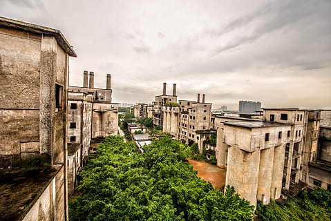 ruïnes, taller, gran angle, arquitectura, estructura construïda, exterior de l'edifici, núvol - cel, cap gent, a l'aire lliure, planta, cel, naturalesa, edifici, arbre, dia, ciutat, història, el passat, vista d’angle alt, color verd, destinacions de viatge, vell, creixement, 5K, CC0, domini públic, lliure de regalies