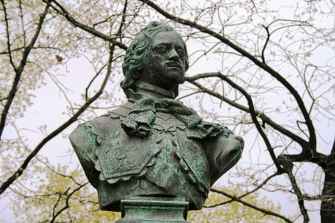estatua, busto, cabeza, monarca, peter l, genial, escultura, Arte y artesanía, vista de ángulo bajo, árbol, representación, representación humana, nadie, naturaleza, planta, día, color verde, arte, arquitectura, cielo, rama, semejanza masculina, al aire libre, árbol desnudo, historia, 1080P, CC0, dominio público, libre de derechos