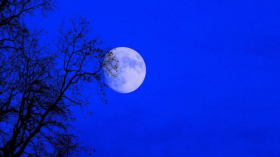 cel nocturn, supermoon, lluna plena, lluna, nit, cel, naturalesa, ple, magnífic, blau, cap gent, bellesa a la natura, tranquil·litat, vista d’angle baix, espai, astronomia, Lluna planetària, escenics - natura, cel clar, escena tranquil·la, arbre, planta, idíl·lic, Mitja lluna, a l'aire lliure, espai i astronomia, astrologia, porpra, 2K