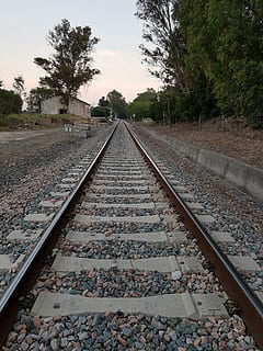 camins, tren, viatjar, Camí, ferrocarril, rail, entremaliat, estació de tren, pista, vies del ferrocarril, transport per ferrocarril, el camí a seguir, direcció, arbre, perspectiva decreixent, planta, punt de fuga, transport, naturalesa, cap gent, dia, cel, metall, corbata de ferrocarril, grava, creixement, a l'aire lliure, paral·lel, llarg, 4K, CC0, domini públic, lliure de regalies