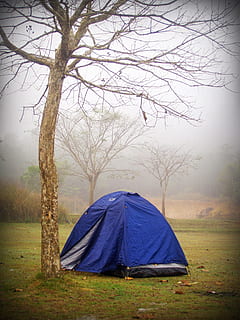 campament, tenda, arbre, Forrest, a l'aire lliure, activitat, festa, fusta, muntanya, aventura, bosc, geologia, verd, sòl, turó, històric, viatge, paisatge, natural, senderisme, naturalesa, parc, phetchabun, phitsanulok, forma, cel, pedra, estiu, sol, Tailàndia, superior, turisme, viatjar, punt de vista, salvatge, arbre nu, herba, planta, terra, camp, tranquil·litat, escena tranquil·la, bellesa a la natura, medi ambient, escenics - natura, cap gent, remot, 2K, CC0, domini públic, lliure de regalies