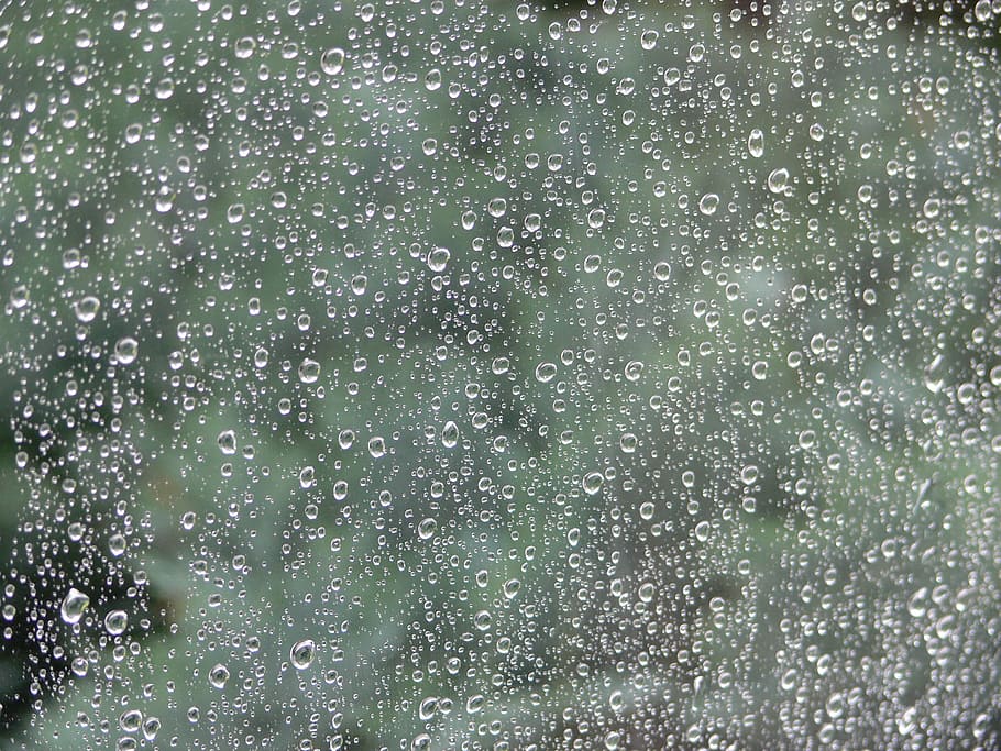 finestra, gota de pluja, vidre, humit, pluja, perles, gota d’aigua, patró, trist, estructura, líquid, humor, fons, marc complet, textura, gris, cap gent, color verd, tirar, aigua, a l'interior, vidre - material, naturalesa, primer pla, hivern, neu, temperatura de fred, nevar, temporada de pluges, 2K