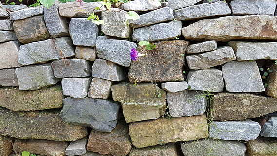 muro di pietra, fiori, modello, parete, materiale lapideo, caratteristica della parete, architettura, mattone, sfondi, vecchio, all'aperto, struttura costruita, architettura ed edifici, esterno dell'edificio, pila, grande gruppo di oggetti, strutturato, nessuno, solido, pietra - oggetto, ruvido, giorno, fotogramma intero, vista dall'alto, grigio, abbondanza, durezza, calcestruzzo, 5K, CC0, dominio pubblico, privo di copyright