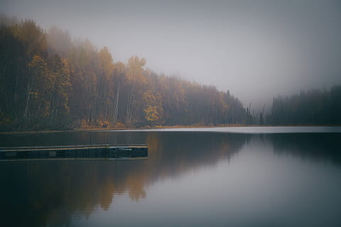 verd, fulles, bosc, cos, aigua, llac, moll, arbres, reflexió, boscos, boira, núvol, gris, arbre, escena tranquil·la, tranquil·litat, planta, escenics - natura, bellesa a la natura, naturalesa, cap gent, tardor, escena no urbana, idíl·lic, cel, a l'aire lliure, canvi, llac de reflexió, pi, arbre de coníferes, 5K, CC0, domini públic, lliure de regalies