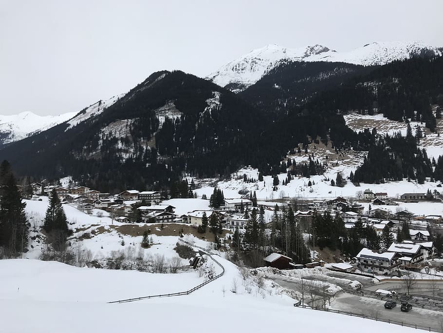 neu, hivern, fred, muntanya, congelat, turó, panorama, paisatge, arbre, imatge panoràmica, Austràlia, lermoos, viatjar, esquiar, àrea d'esquí, temperatura de fred, bellesa a la natura, cel, cobertura, escenics - natura, naturalesa, Color blanc, exterior de l'edifici, arquitectura, cap gent, medi ambient, estructura construïda, planta, tranquil·litat, escena tranquil·la, muntanya nevada, a l'aire lliure, 4K