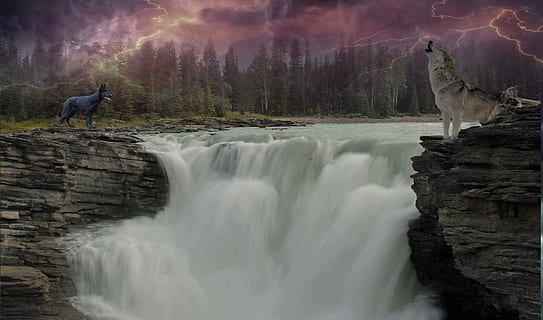 Foto, zwei, schwarz, Weiß, Wölfe, Stürze, Wolf, Wasser, Fluss, Landschaft, Wasserfall, Natur, Gewitter, Wasserfälle, Wald, brüllender Wasserfall, mystisch, Stimmung, Fantasie, surreal, geheimnisvoll, isoliert, Waldbewohner, Fotomontage, komponieren, gimp, Hund, Klippen, Szenen - Natur, Schönheit in der Natur, solide, Rock, Rock - Objekt, Nebel, Bewegung, Stehen, Menschen, Wirbeltier, Tierwelt, Langzeitbelichtung, Land, draußen, fließendes Wasser, Kraft in der Natur, 2K, CC0, gemeinfrei, lizenzfrei